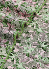Жаккард стрейч зебры и цветы на зеленом фото 3