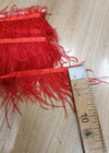 Тесьма перья страуса на ленте красная фото 2