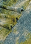 Трикотаж травка с абстрактным принтом фото 3