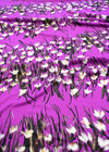 Трикотаж ландыши на фиолетовом (DG-9127) фото 2