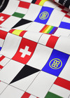 Дизайнерский репс флаги (DG-7618) фото 4