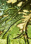 Пайеточная ткань на сетке двухсторонние стрейч оливка золото (GG-7509) фото 1