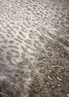 Микровельвет жемчужно-серый с леопардовым принтом (00196) фото 3