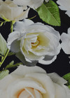 Шелк с белыми розами на темном фоне (00382) фото 4